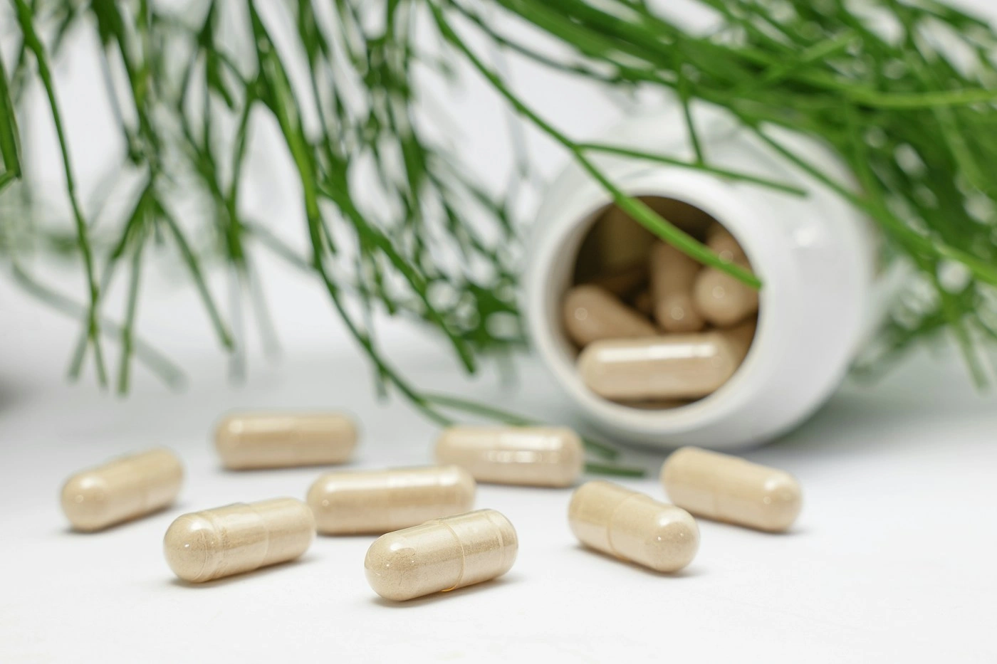 Nutritional supplements